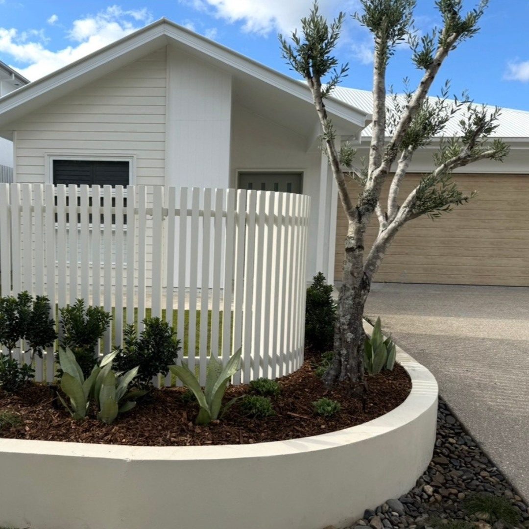 Curved in-situ concrete garden wall with an established tree and planting at a Brisbane home
